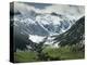 Val d'Aran in the Pyrenees Near Viella, Catalonia, Spain-Michael Busselle-Premier Image Canvas