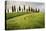 Val D'Orcia, Tuscany, Italy. a Lonely Farmhouse with Cypress Trees Standing in Line in Foreground.-Francesco Riccardo Iacomino-Premier Image Canvas