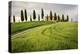 Val D'Orcia, Tuscany, Italy. a Lonely Farmhouse with Cypress Trees Standing in Line in Foreground.-Francesco Riccardo Iacomino-Premier Image Canvas