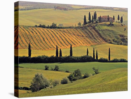 Val d'Orcia, Tuscany, Italy-Walter Bibikow-Premier Image Canvas