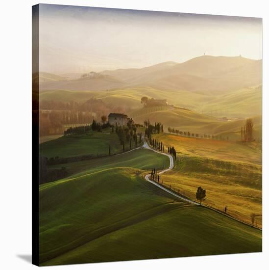 Val D'Orcia-Jarek Pawlak-Stretched Canvas