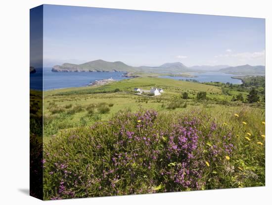 Valentia Island, Ring of Kerry, County Kerry, Munster, Republic of Ireland, Europe-null-Premier Image Canvas