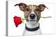 Valentine Dog-Javier Brosch-Premier Image Canvas