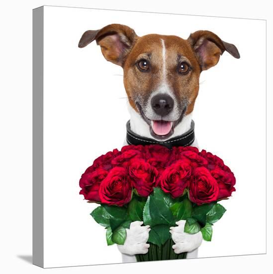 Valentine Dog-Javier Brosch-Premier Image Canvas