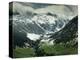 Vall d'Aran, Near Viella, Catalonia, Spain-Michael Busselle-Premier Image Canvas