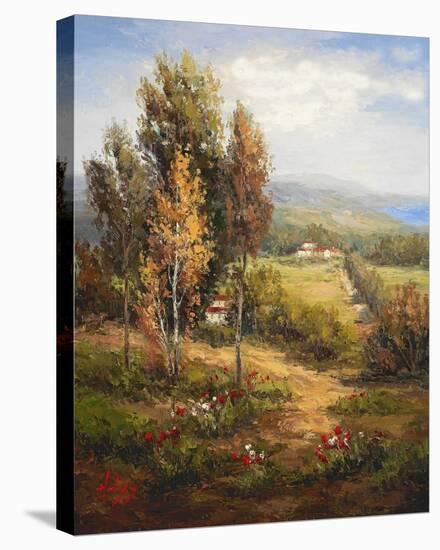 Valle Salerno-Hulsey-Stretched Canvas