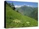 Vallee D'Aspe, Bearn, Pyrenees Atlantique, Aquitaine, France, Europe-David Hughes-Premier Image Canvas