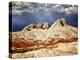 Valley Beauty I-David Drost-Premier Image Canvas