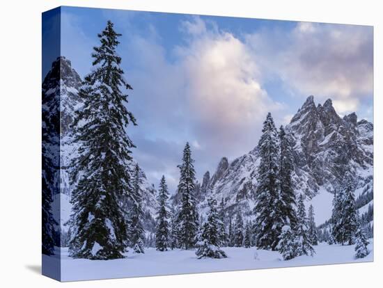 Valley Fischleintal in Winter, Mt Einserkofel. Sexten Dolomites, Italy-Martin Zwick-Premier Image Canvas