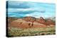 Valley of Fire, near Las Vegas, Nevada, United States of America, North America-Ethel Davies-Premier Image Canvas