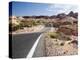 Valley of Fire State Park, Nevada, USA-Diane Johnson-Premier Image Canvas