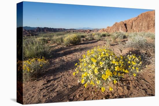 Valley of Fire State Park Outside Las Vegas, Nevada, United States of America, North America-Michael DeFreitas-Premier Image Canvas