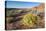 Valley of Fire State Park Outside Las Vegas, Nevada, United States of America, North America-Michael DeFreitas-Premier Image Canvas