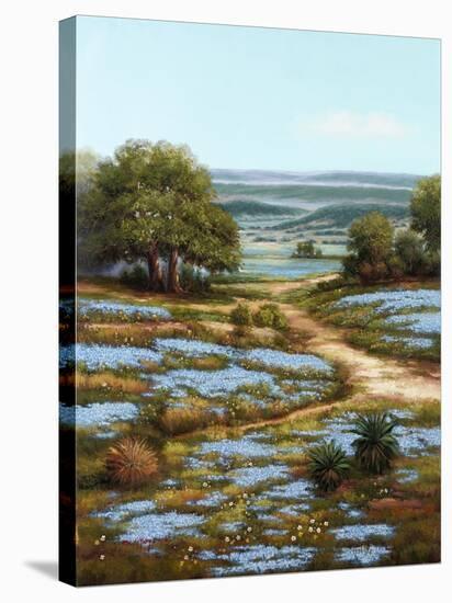 Valley of the Bluebells I-Arcobaleno-Stretched Canvas