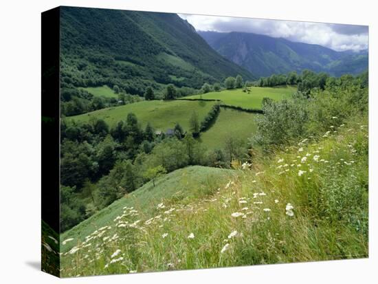 Valley of the River Berthe Near Accous, Bearn, Pyrenees, Aquitaine, France, Europe-David Hughes-Premier Image Canvas