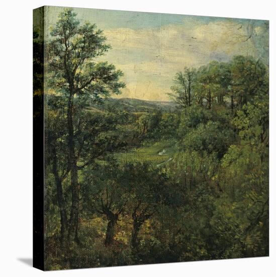Valley Scene with Trees-John Constable-Premier Image Canvas
