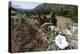 Valley View, Bandelier National Monument, NM-George Oze-Premier Image Canvas