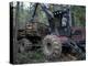 Valmet Forwarder, Green Certification, Logging, Maine, USA-Jerry & Marcy Monkman-Premier Image Canvas