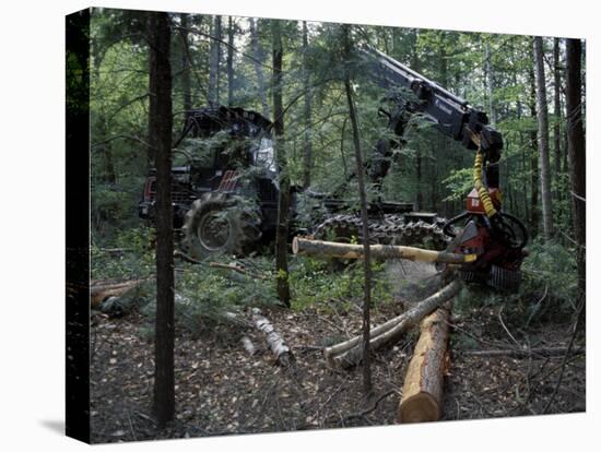 Valmet Forwarder, Green Certification, Logging, Maine, USA-Jerry & Marcy Monkman-Premier Image Canvas
