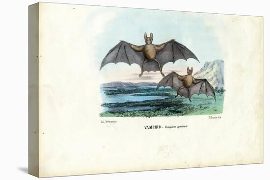 Vampire Bat, 1863-79-Raimundo Petraroja-Premier Image Canvas