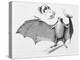 Vampire Bat (Desmodus d'Orbignyi) Caught at the Back of Darwin's House in Chile South America-R.t. Pritchett-Stretched Canvas