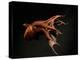 Vampire Squid Going into Opineappleo Defense Posture-null-Premier Image Canvas