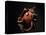 Vampire Squid Going into Opineappleo Defense-null-Premier Image Canvas