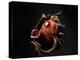 Vampire Squid Going into Opineappleo Defense-null-Premier Image Canvas