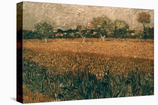 Van Gogh: Arles, 1888-Vincent van Gogh-Premier Image Canvas