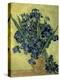 Van Gogh, Irises(1890)-null-Premier Image Canvas