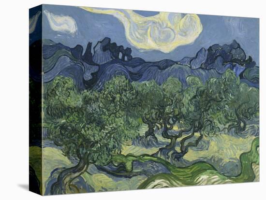 Van Gogh, Olive Trees-null-Premier Image Canvas