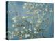 Van Gogh's Almond Blossom-Vincent Van Gogh-Stretched Canvas