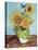 Van Gogh Sunflowers V-Vincent Van Gogh-Stretched Canvas