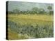 Van Gogh, View of Arles with Irises-null-Premier Image Canvas