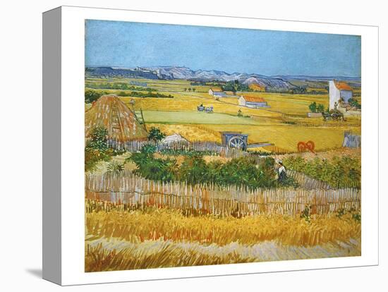 Van Gogh: Wheatfield, 1888-Vincent van Gogh-Premier Image Canvas