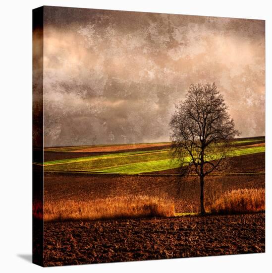 Van Gough's Mind-Philippe Sainte-Laudy-Premier Image Canvas