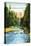 Vancouver, Canada - View of Capilano Suspension Bridge No. 2-Lantern Press-Stretched Canvas