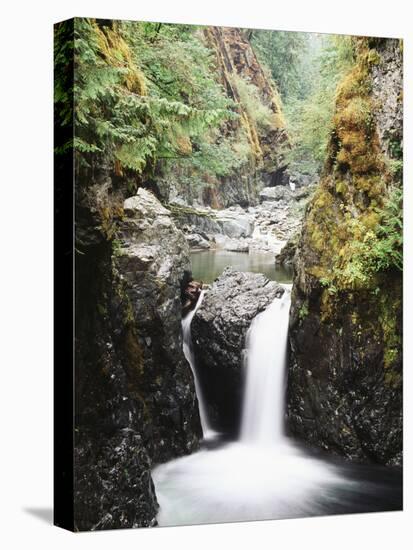 Vancouver Island, Englishman River Falls Park, Englishman River Falls-Christopher Talbot Frank-Premier Image Canvas