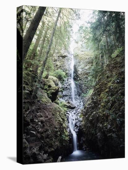 Vancouver Island, Strathcona Provincial Park, Lupin Falls-Christopher Talbot Frank-Premier Image Canvas