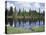 Vancouver Island, Strathcona Provincial Park, Reflecting in a Tarn-Christopher Talbot Frank-Premier Image Canvas