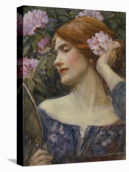 Vanity, C.1910 (Oil on Canvas)-John William Waterhouse-Premier Image Canvas