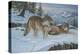 Vantage Point Wolves-Bruce Dumas-Premier Image Canvas