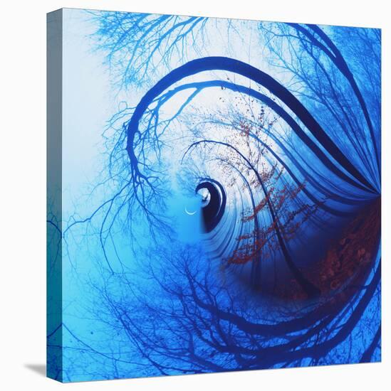 Variations on a Circle 12-Philippe Sainte-Laudy-Premier Image Canvas