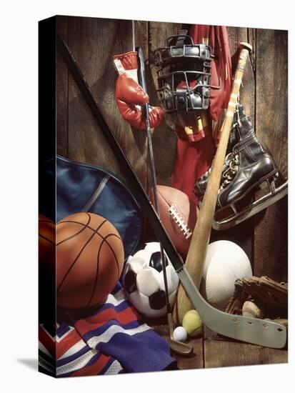 Variety of Sports Equipment-William Whitehurst-Premier Image Canvas