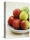 Various Apples on a Stone Plate-Bayside-Premier Image Canvas