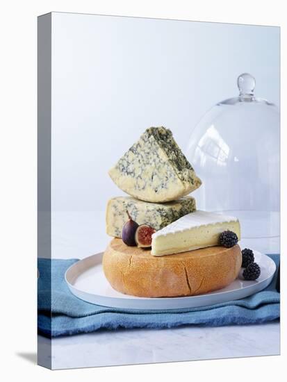 Various Cheeses on Cheese Platter with Figs, Blackberries-null-Premier Image Canvas