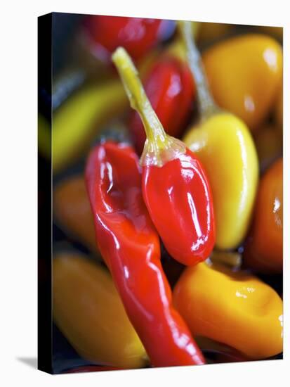 Various Chillies-Winfried Heinze-Premier Image Canvas