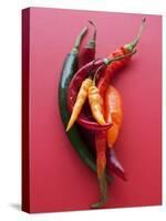 Various Chillies-Malgorzata Stepien-Premier Image Canvas
