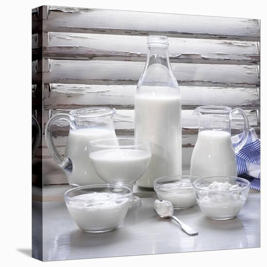 Various Dairy Products in Front of Window Frame-Peter Rees-Premier Image Canvas