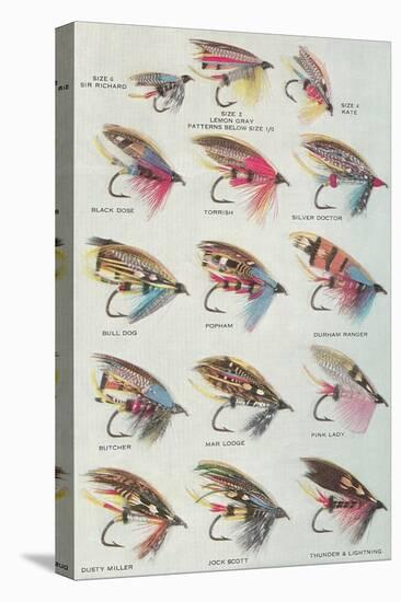 Various Dry Flies-null-Stretched Canvas